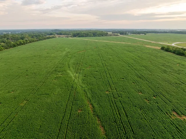 $2,655,000 | 600 Southwest Sw Road, Montrose, MO 64770