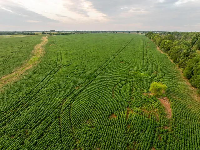 $2,655,000 | 600 Southwest Sw Road, Montrose, MO 64770