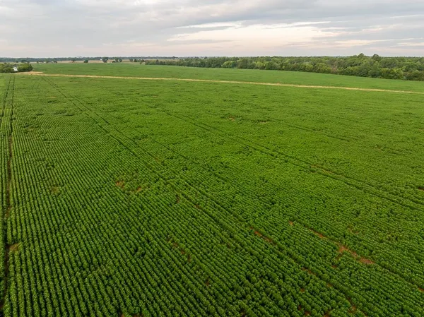 $2,485,000 | 600 Southwest Sw Road, Montrose, MO 64770
