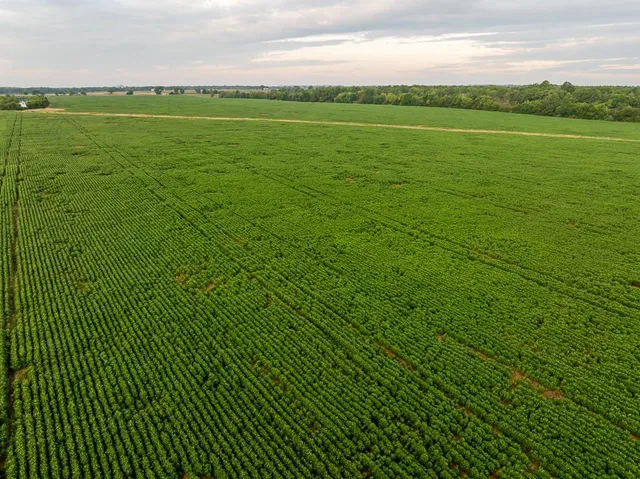 $2,655,000 | 600 Southwest Sw Road, Montrose, MO 64770