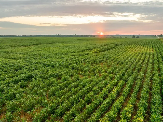 $2,655,000 | 600 Southwest Sw Road, Montrose, MO 64770