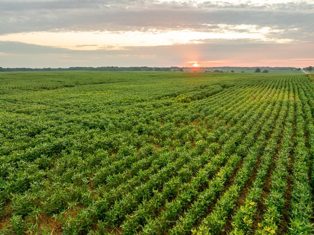 600 Southwest Sw Road Montrose, MO 64770 - Photo 51 of 63