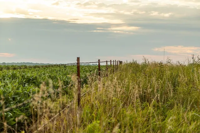 $2,655,000 | 600 Southwest Sw Road, Montrose, MO 64770