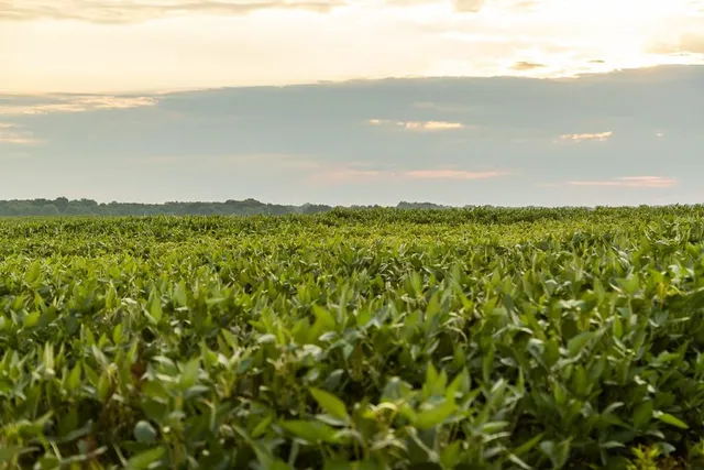 $2,655,000 | 600 Southwest Sw Road, Montrose, MO 64770