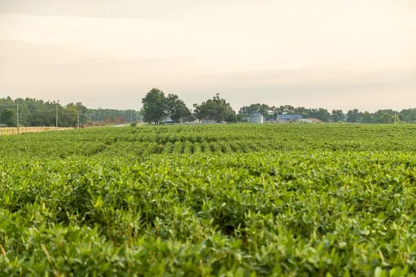 $2,485,000 | 600 Southwest Sw Road, Montrose, MO 64770