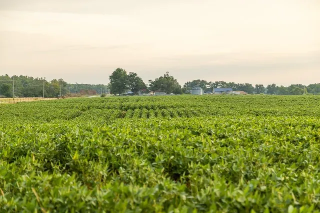 $2,655,000 | 600 Southwest Sw Road, Montrose, MO 64770