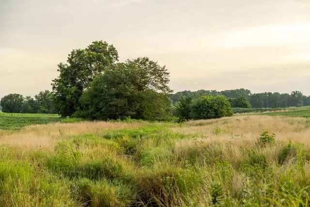 $2,655,000 | 600 Southwest Sw Road, Montrose, MO 64770