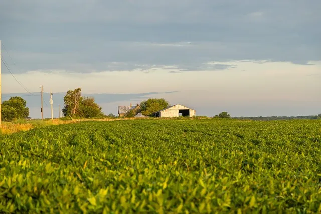 $2,655,000 | 600 Southwest Sw Road, Montrose, MO 64770