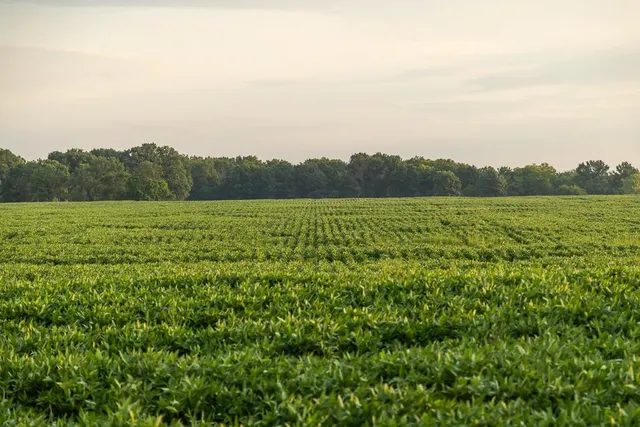 $2,655,000 | 600 Southwest Sw Road, Montrose, MO 64770