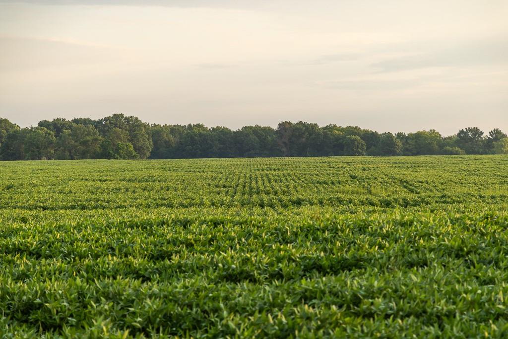 600 Southwest Sw Road Montrose, MO 64770 - Photo 60 of 63
