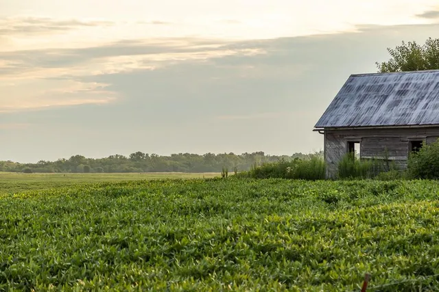 $2,655,000 | 600 Southwest Sw Road, Montrose, MO 64770