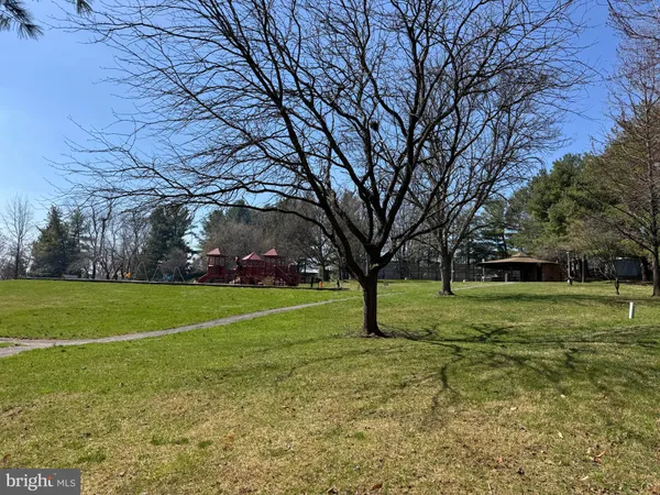 a view of field with trees