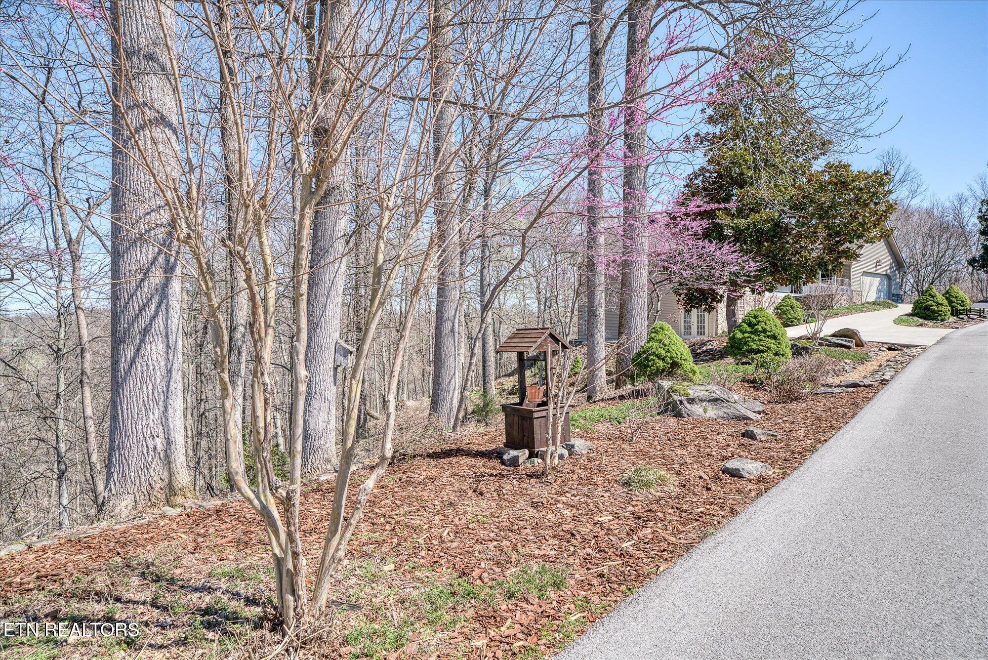 566 Mallard Pointe Road Byrdstown, TN 38549 - Photo 6 of 47 09-566 Mallard Pointe Dr_TNPC_044