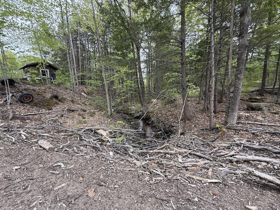 63 Rolands Way Livermore Falls, ME 04254 - Photo 24 of 27 IMG_8649