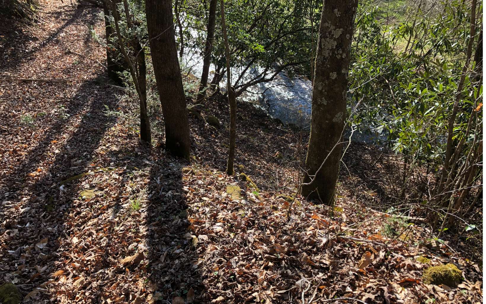 7.9-ac Scott Hollow Road Ellijay, GA 30540 - Photo 13 of 24 Additional View