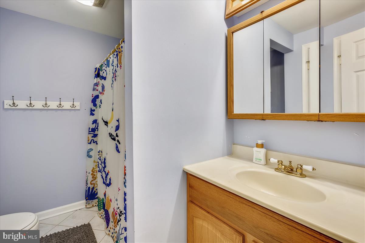 3921 New Section Road Baltimore, MD 21220 - Photo 34 of 84 Main house lower level bathroom