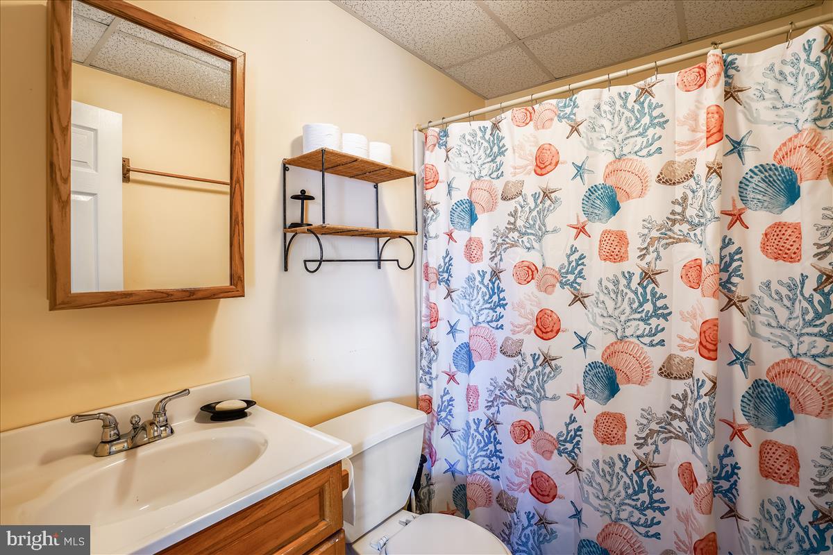 3921 New Section Road Baltimore, MD 21220 - Photo 74 of 84 Guest house bathroom