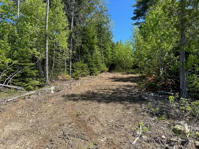 $79,000 | Lot 3 Mt Jefferson Heights, Lee, ME 04455