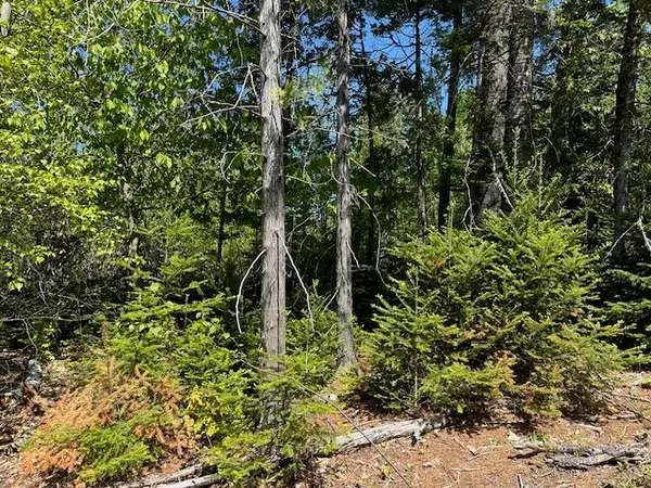 $79,000 | Lot 3 Mt Jefferson Heights, Lee, ME 04455
