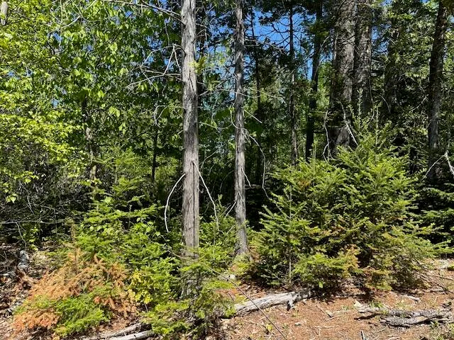 $79,000 | Lot 3 Mt Jefferson Heights, Lee, ME 04455