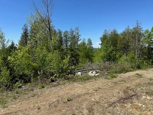 $79,000 | Lot 3 Mt Jefferson Heights, Lee, ME 04455