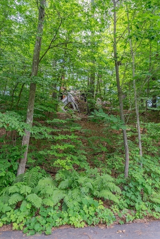 9 Georgia Road Groton, MA 01450 - Photo 20 of 28
