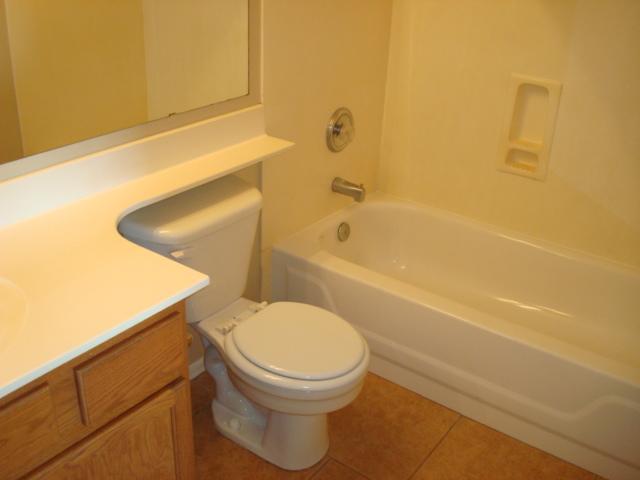 2202 East Ranch Court Gilbert, AZ 85296 - Photo 5 of 10 second bath