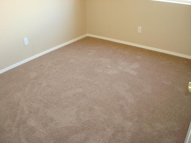 2202 East Ranch Court Gilbert, AZ 85296 - Photo 10 of 10 new carpet