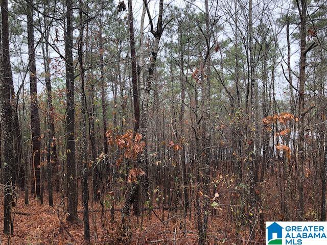 0 Lakeside Lane, Unit 31 Alpine, AL 35014 - Photo 3 of 42