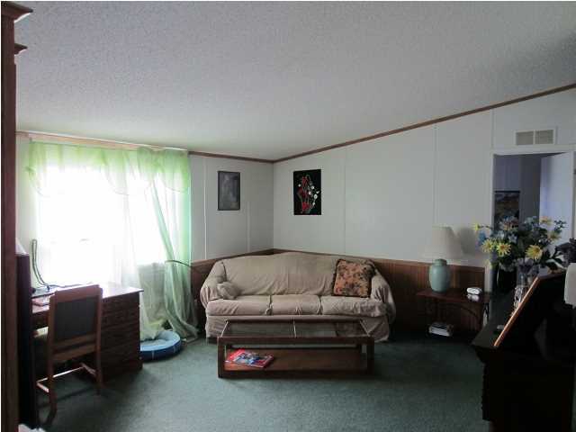 189 Old Beech Hill Road Ridgeville, SC 29472 - Photo 14 of 20 Additional Photo