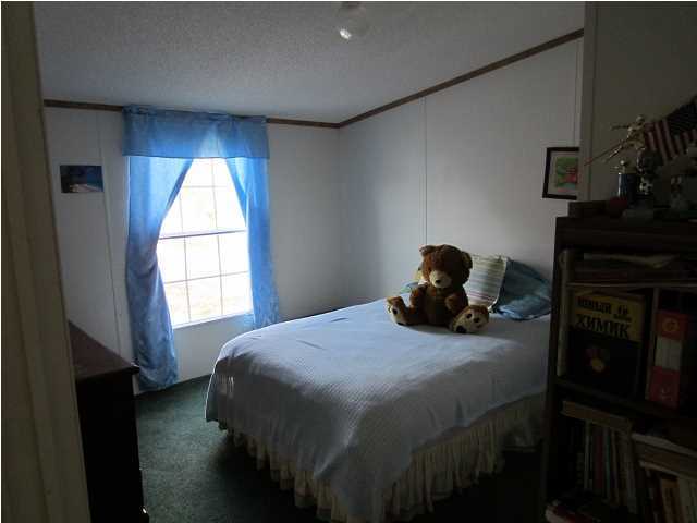 189 Old Beech Hill Road Ridgeville, SC 29472 - Photo 17 of 20 Additional Photo
