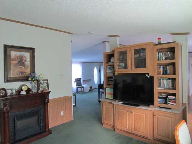189 Old Beech Hill Road Ridgeville, SC 29472 - Photo 18 of 20 Additional Photo