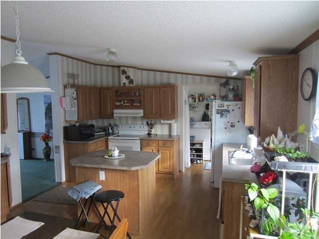 189 Old Beech Hill Road Ridgeville, SC 29472 - Photo 20 of 20 Additional Photo