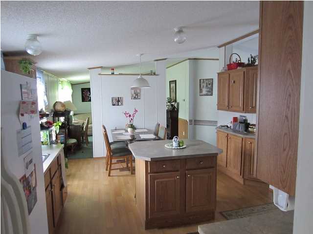 189 Old Beech Hill Road Ridgeville, SC 29472 - Photo 9 of 20 Additional Photo