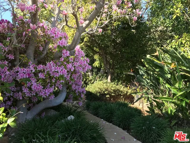 a view of a pathway both side of building