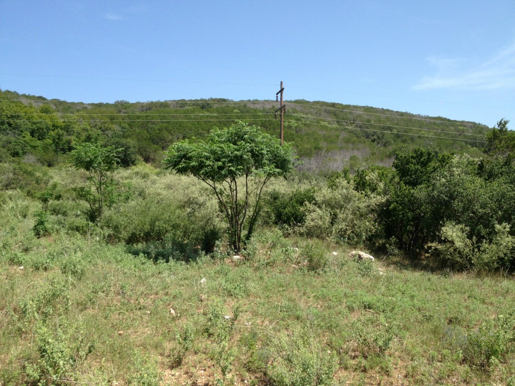 1 Blk Loop Buchanan Dam, TX 78609 - Photo 1 of 1 a view of a green field with lots of bushes