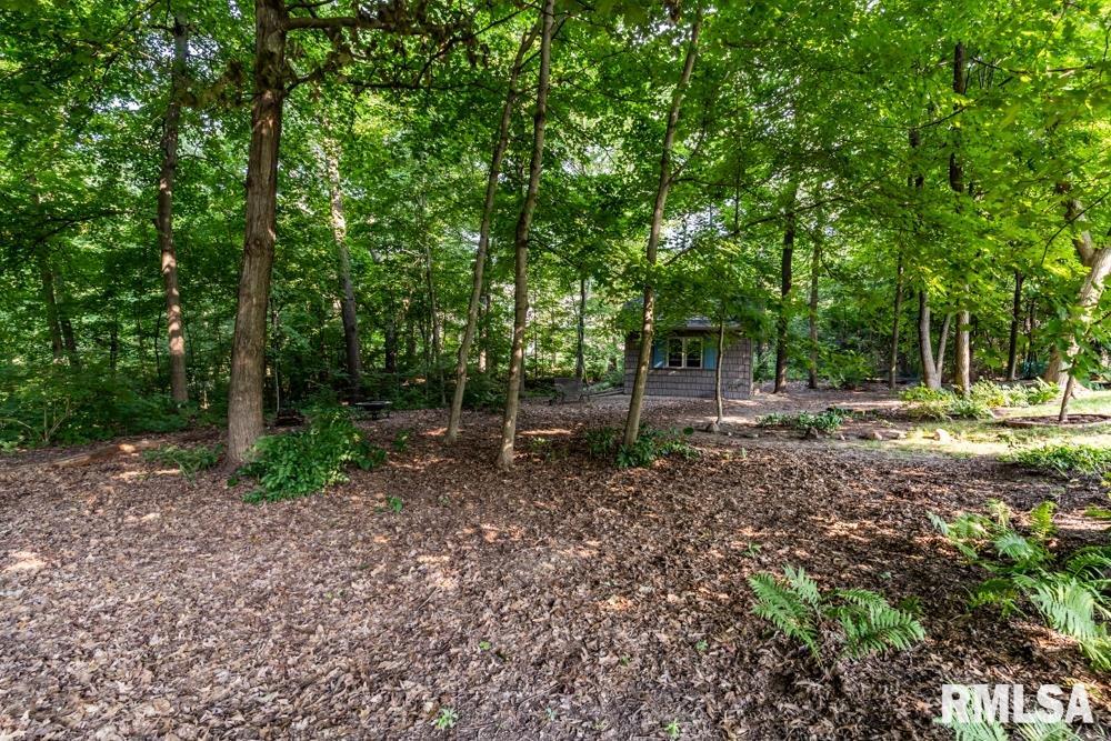 1804 Autumn Ridge Washington, IL 61571 - Photo 43 of 47 Gallery Image 43