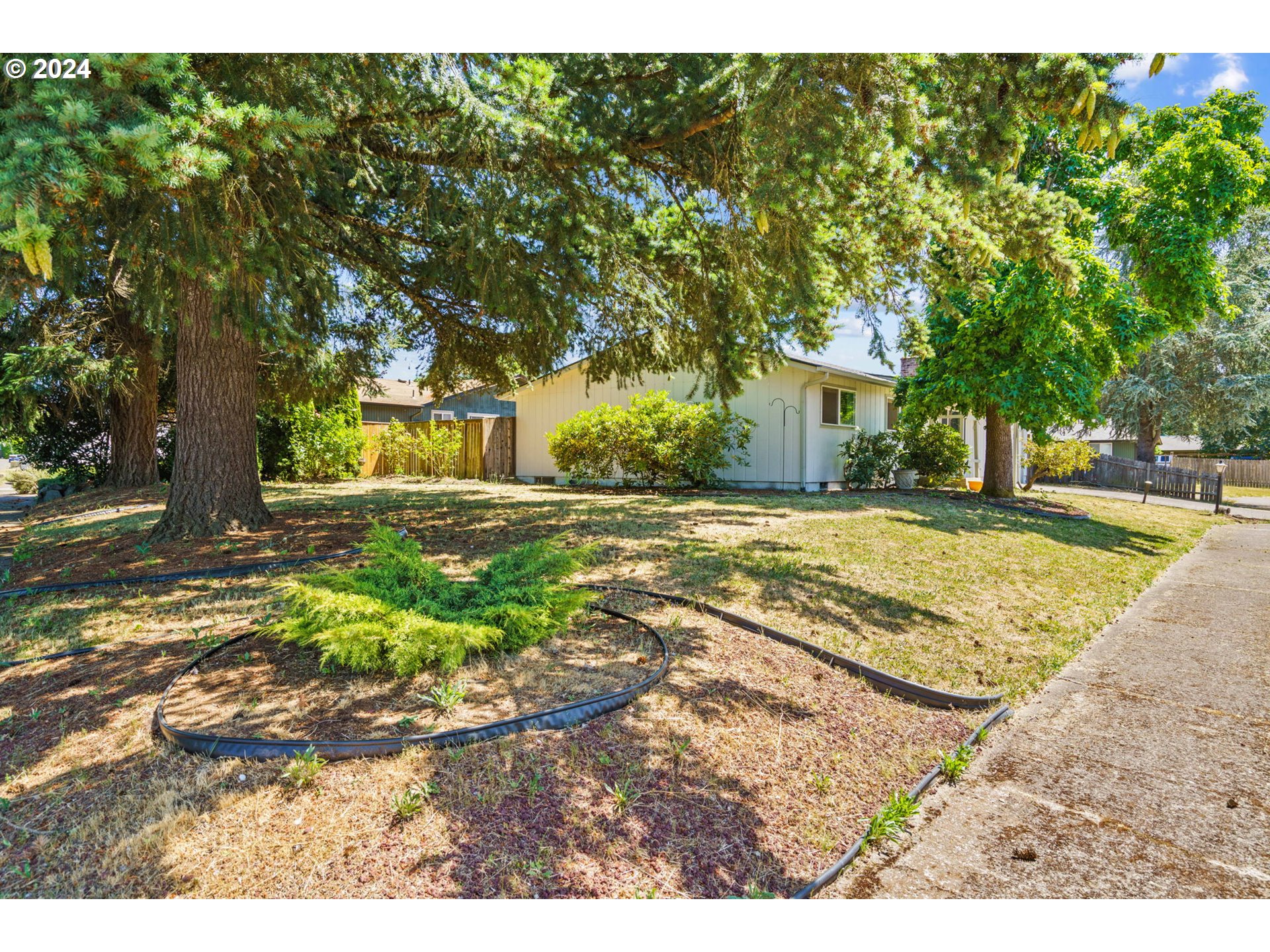 1205 Dondea Street Springfield, OR 97478 - Photo 4 of 26 a view of a yard with plants and trees