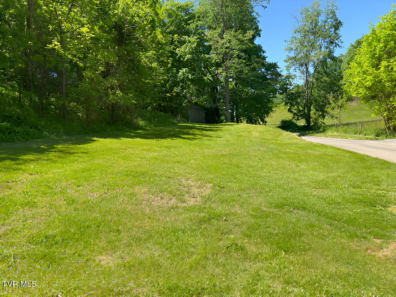 324 Jess Hopson Road Unicoi, TN 37692 - Photo 2 of 14 jess hopson yard 4 05082026
