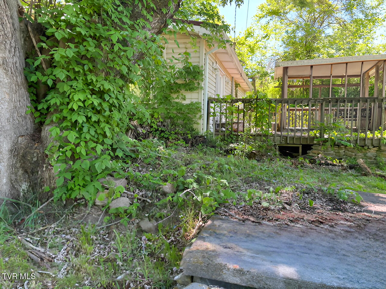 324 Jess Hopson Road Unicoi, TN 37692 - Photo 3 of 14 jess hopson yard 3 05082026