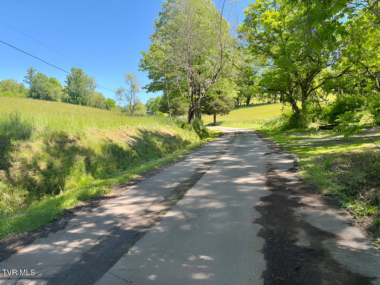 324 Jess Hopson Road Unicoi, TN 37692 - Photo 6 of 14 jess hopson street view north 05082026