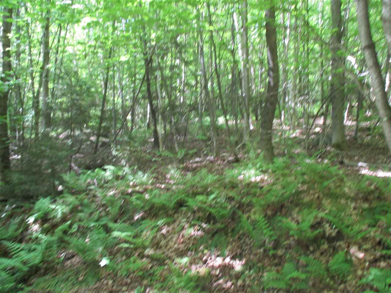 0 Summit/sault Road Braintree, VT 05060 - Photo 11 of 15