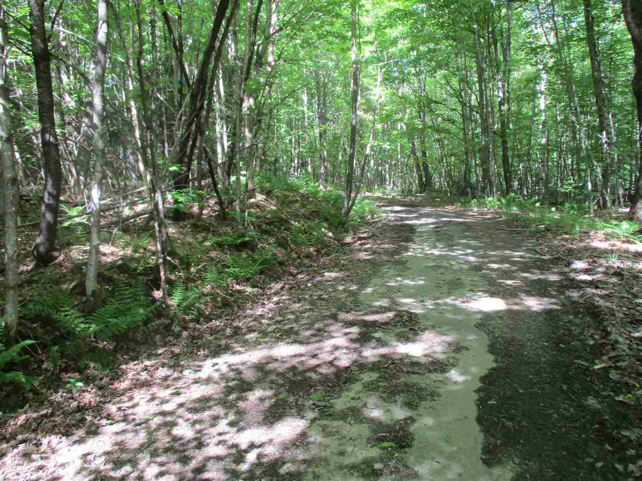 0 Summit/sault Road Braintree, VT 05060 - Photo 12 of 15