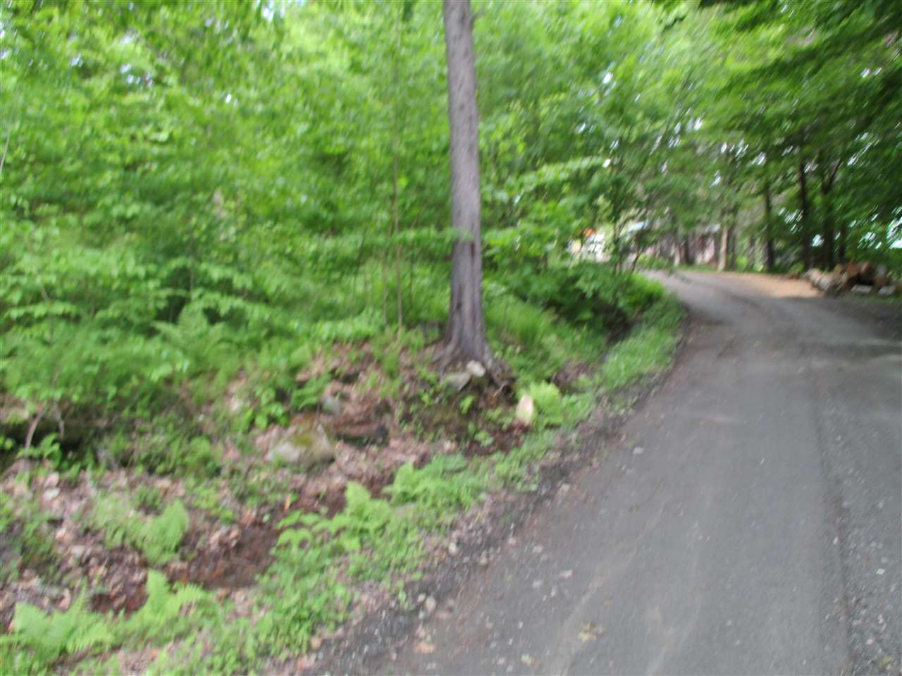 0 Summit/sault Road Braintree, VT 05060 - Photo 13 of 15