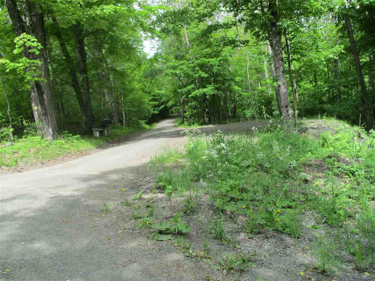 0 Summit/sault Road Braintree, VT 05060 - Photo 15 of 15