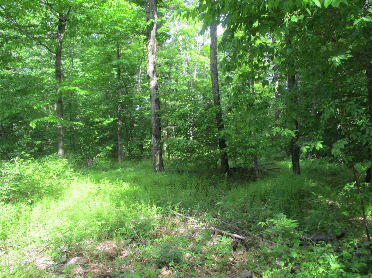 0 Summit/sault Road Braintree, VT 05060 - Photo 6 of 15