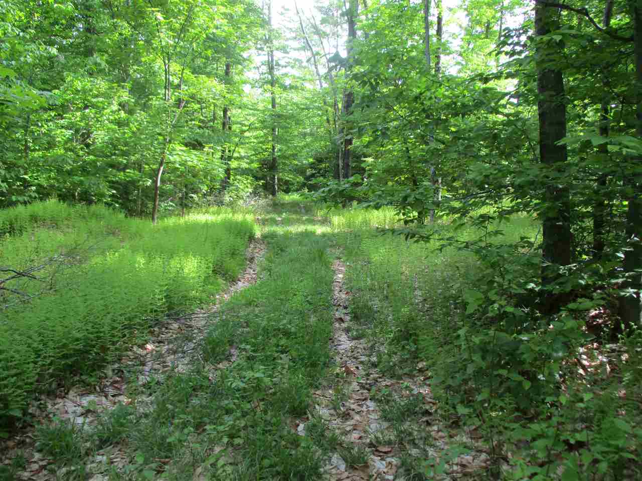 0 Summit/sault Road Braintree, VT 05060 - Photo 7 of 15