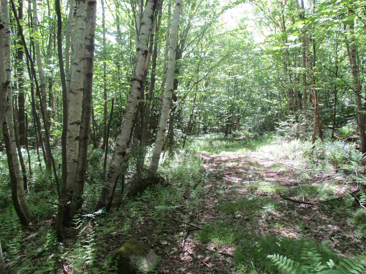 0 Summit/sault Road Braintree, VT 05060 - Photo 10 of 15