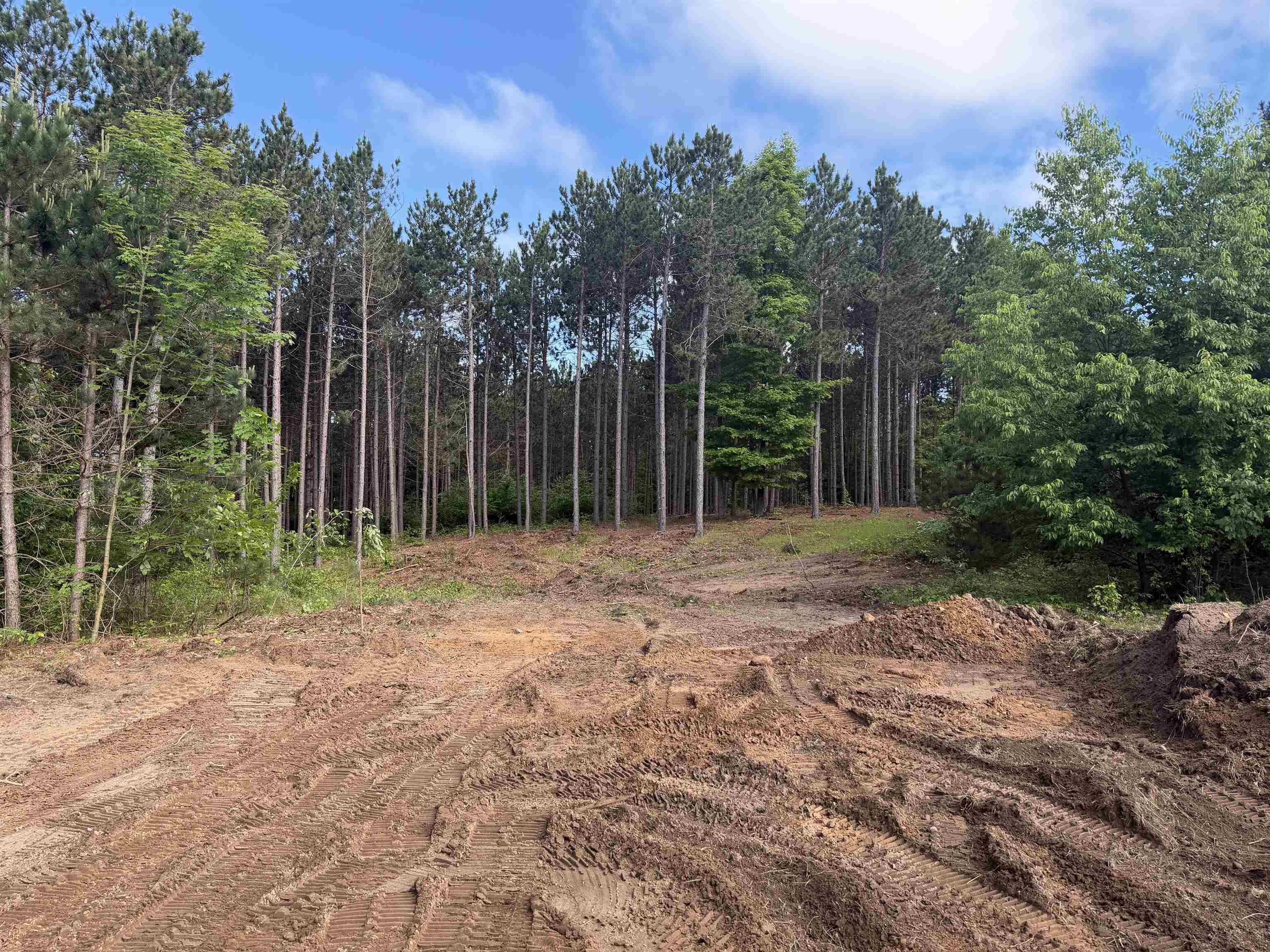 Parcel 6 Karnes Road, Unit LOT: 6 Empire, MI 49636 - Photo 10 of 11