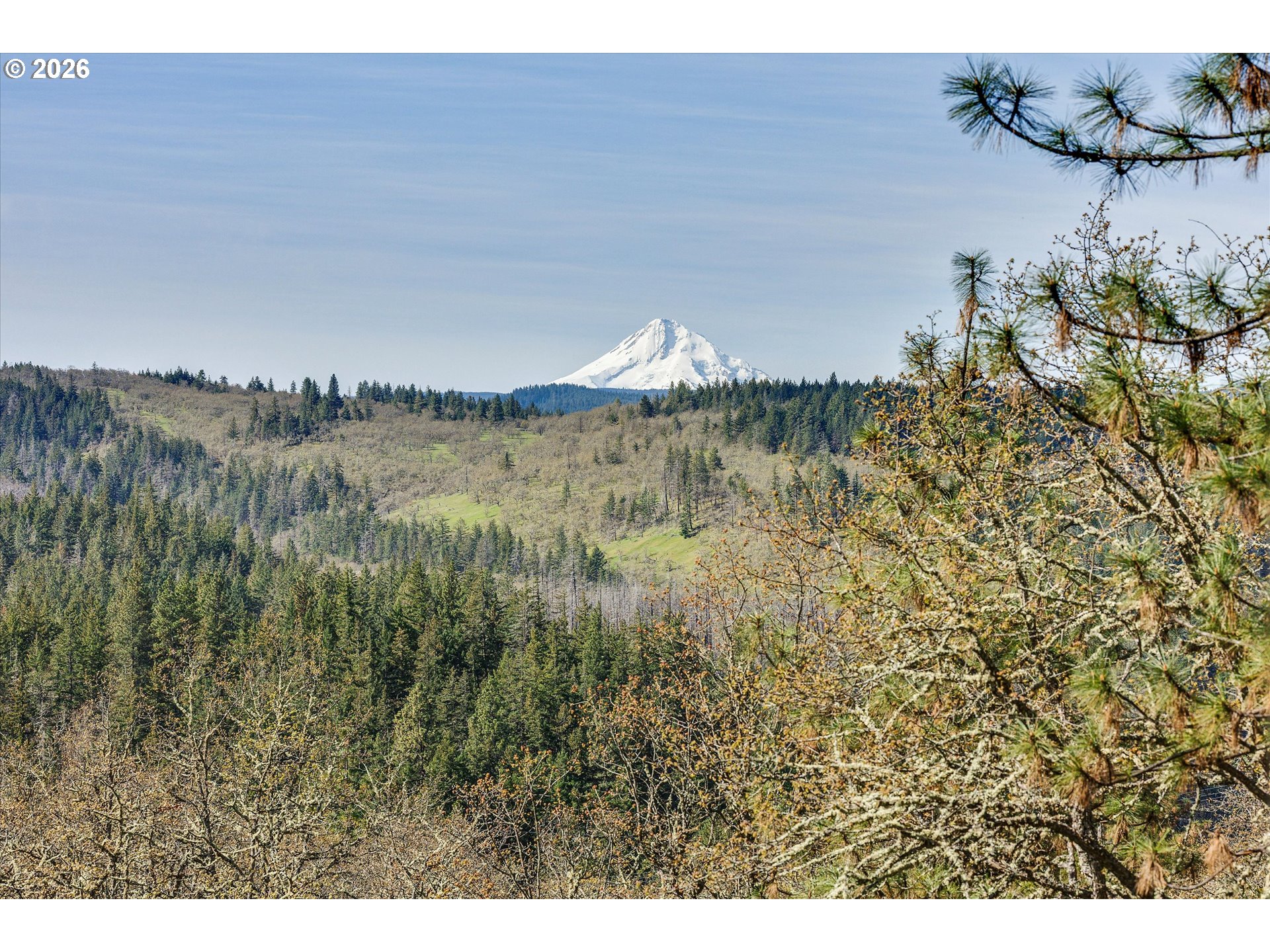2215 Pine Oak Road Mosier, OR 97040 - Photo 3 of 46 a view of lake
